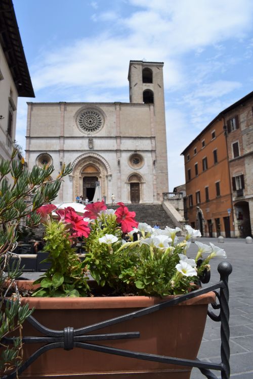 Free TODI 15 Stock Photo