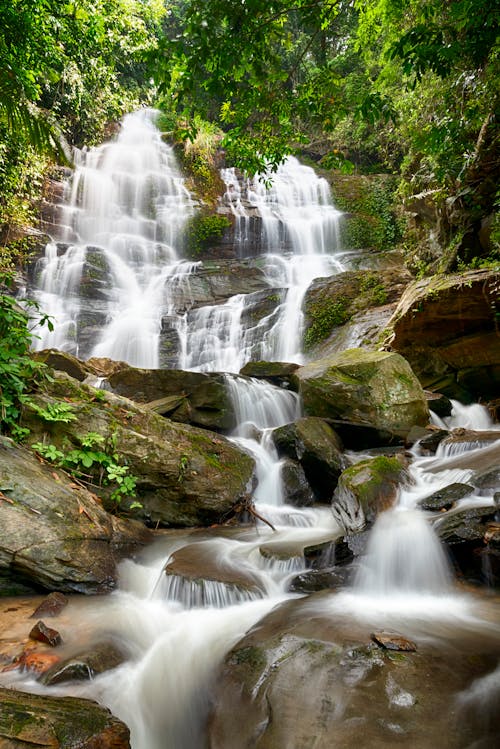 Бесплатное стоковое фото с вертикальный выстрел, водопады, зеленые деревья