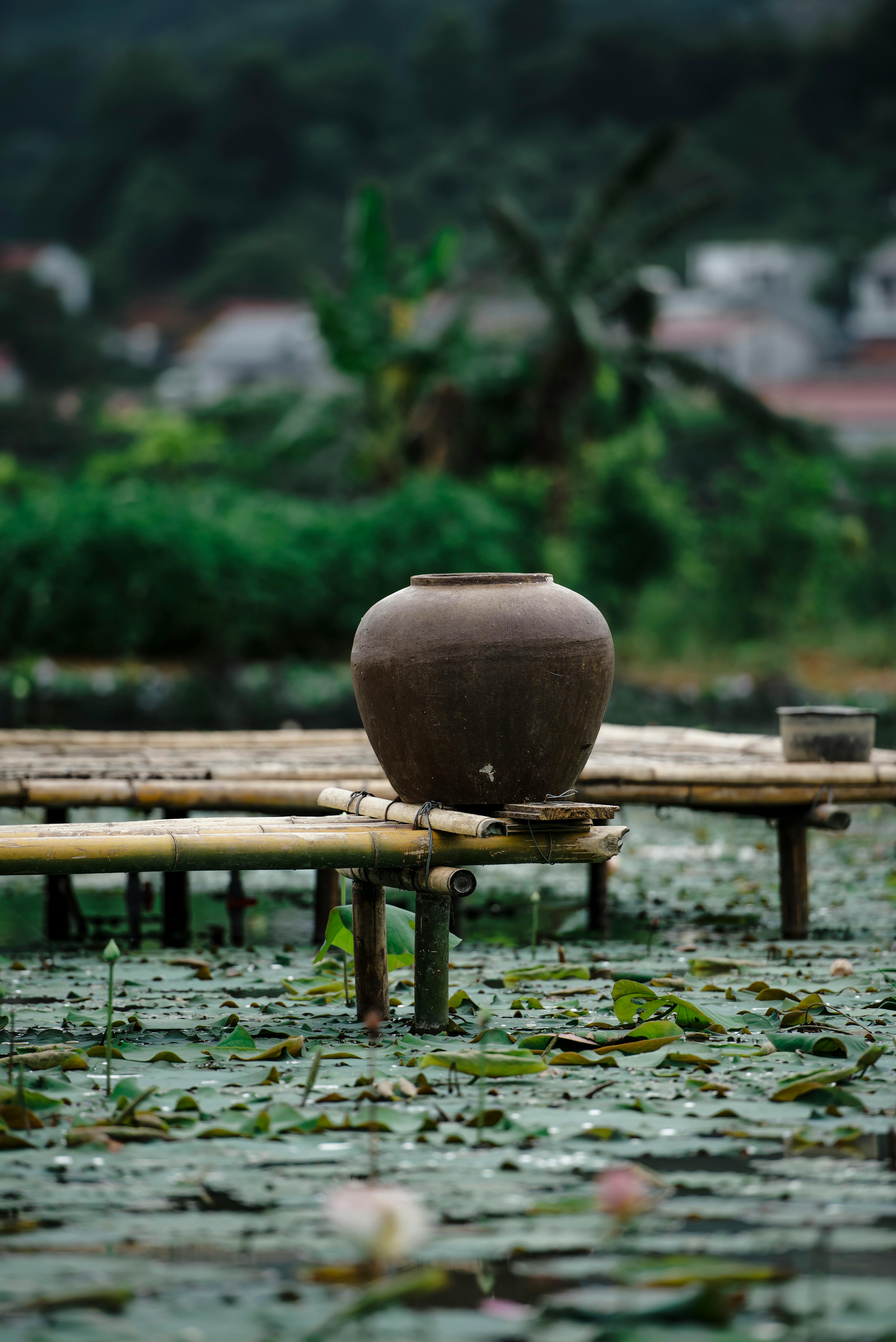 Bamboo Platform Photos, Download The BEST Free Bamboo Platform Stock