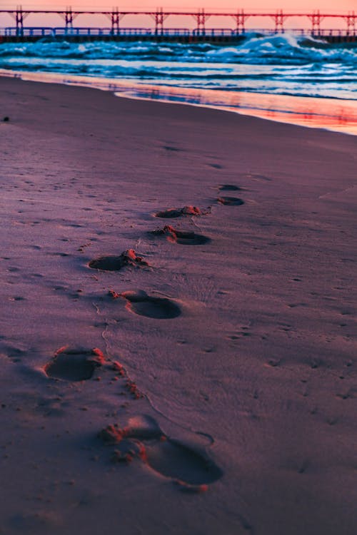 Foto profissional grátis de areia, pegadas, pôr do sol