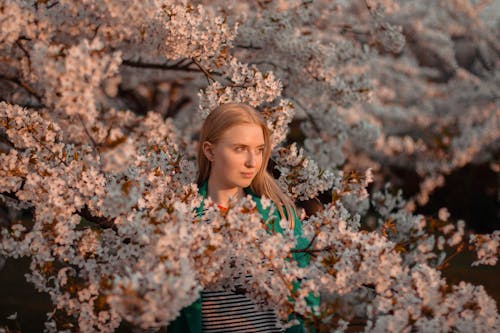 Portrait of a Woman Among Blossoming Cherry