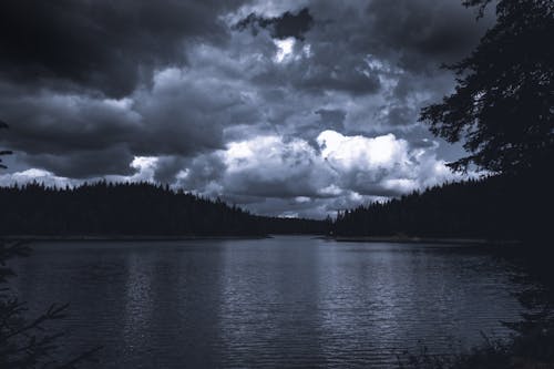 A Silhouette of Trees Near the Lake Under the Cloudy Sky