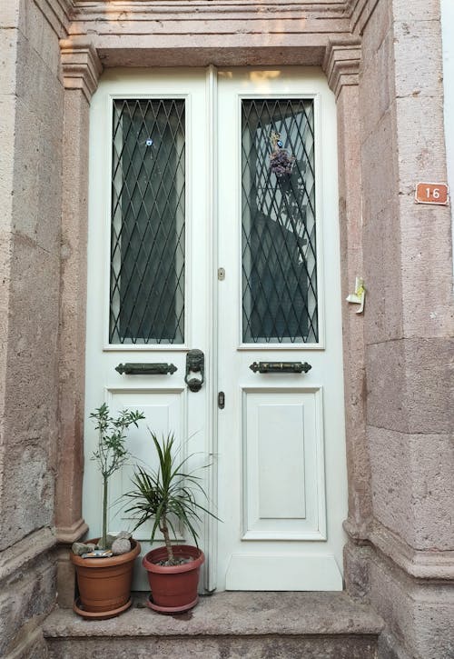 Potted Plants at the Doorway