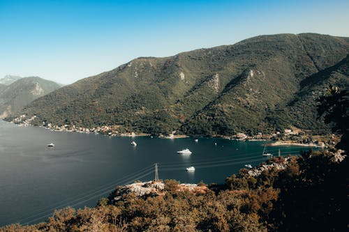 An Aerial Photography of Green Trees on Mountain Near the Body of Water