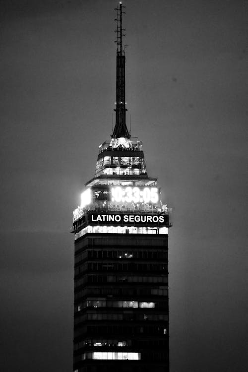 Grayscale Photo of a High Rise Building