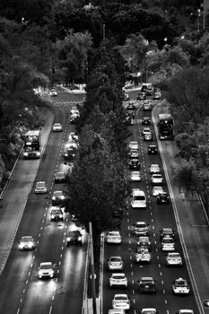 Black and white image capturing city traffic flowing along a tree-lined road, highlighting urban transportation.