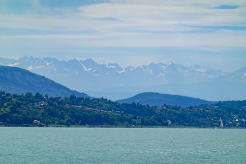 Green Trees Beside the Lake