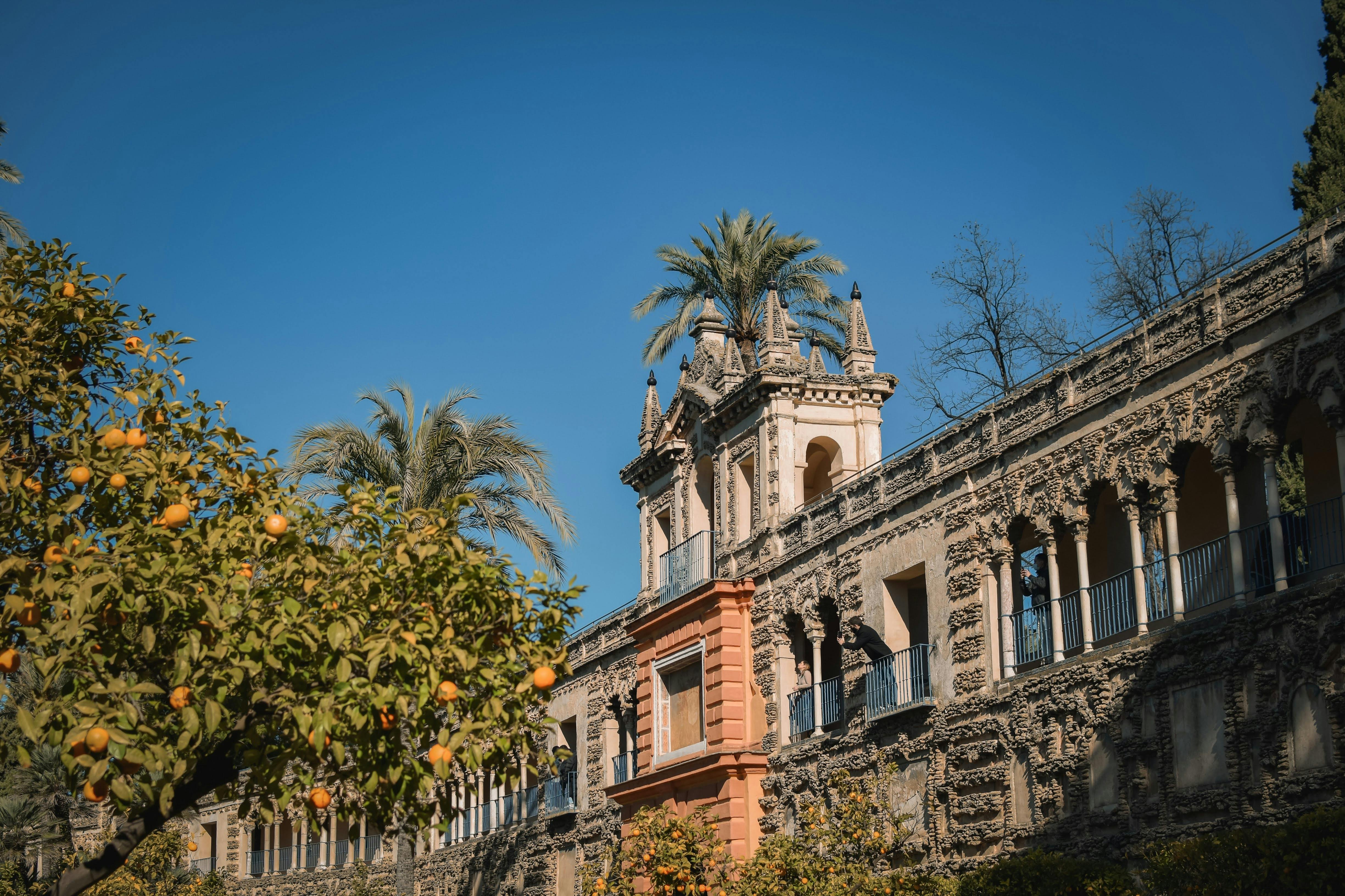 Photo by 𝐴𝑛𝑡𝑜𝑛𝑖𝑜 𝑀𝑎𝑐𝑖𝑎𝑠