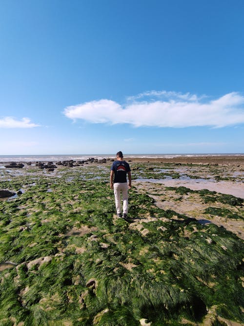 Fotobanka s bezplatnými fotkami na tému breh, chôdza, leto