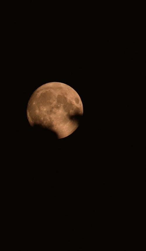 Imagine de stoc gratuită din cer de noapte, fotografiere verticală, luna