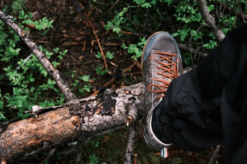 A Person Wearing Hiking Shoes Stepping on the Woods