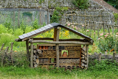 Shelter for Insects