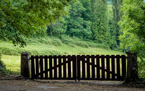Brown Wooden Fence Near Green Trees