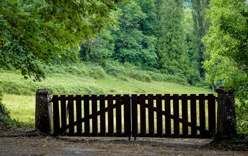 Photos gratuites de arbres verts, campagne, clôture en bois