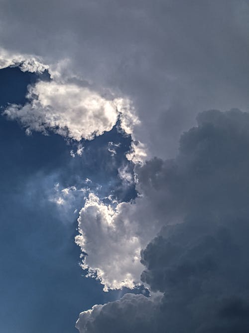 Free stock photo of blue, bright, calm day