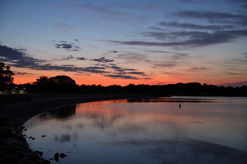 Free Peaceful twilight view of Cove Island Park with calm water and silhouetted trees in Stamford, Connecticut. Stock Photo