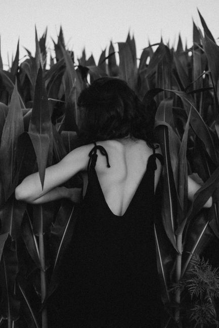 A woman in a stylish black dress stands in a cornfield under soft daylight, embracing nature.