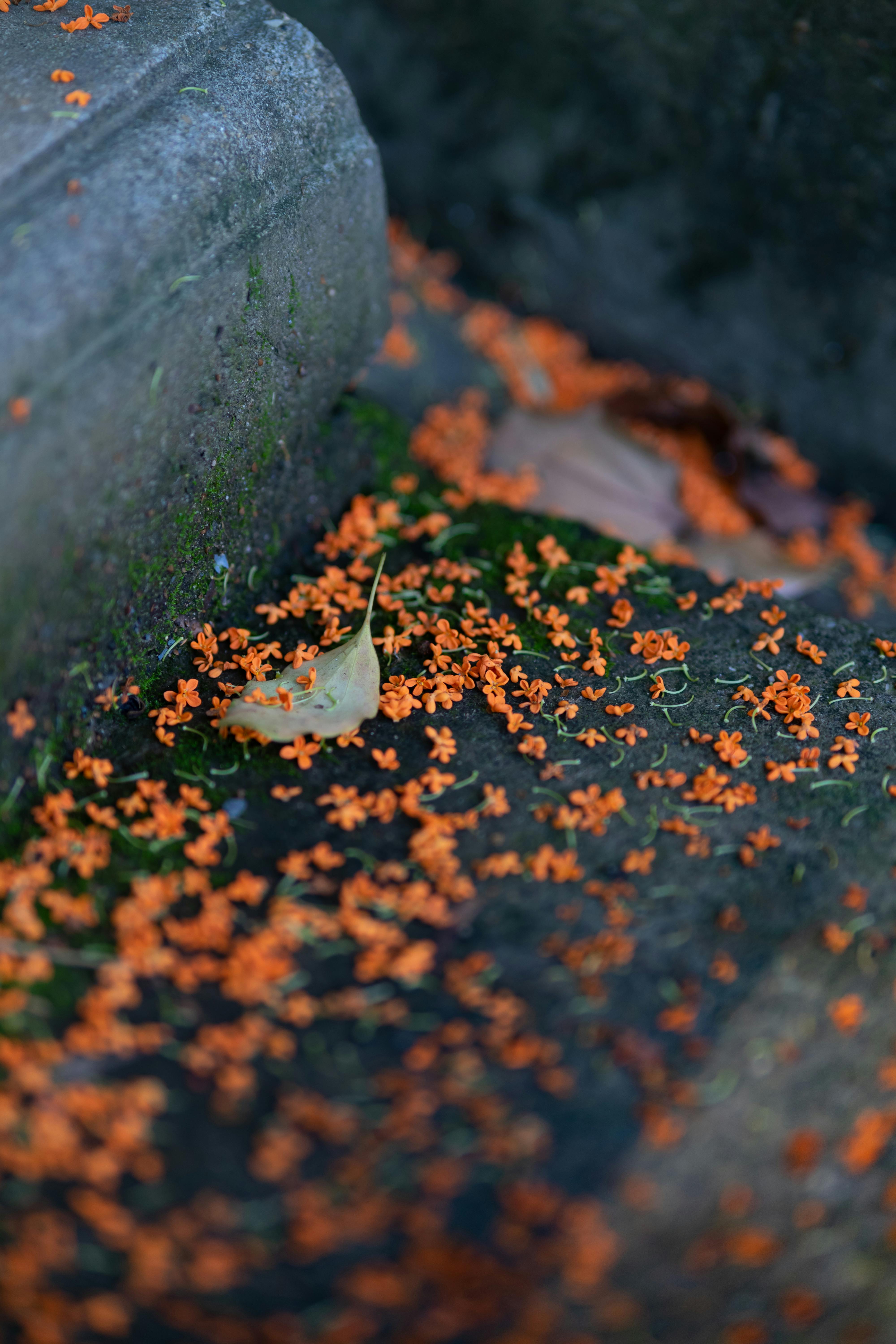 Is it OK to pour concrete on dirt?