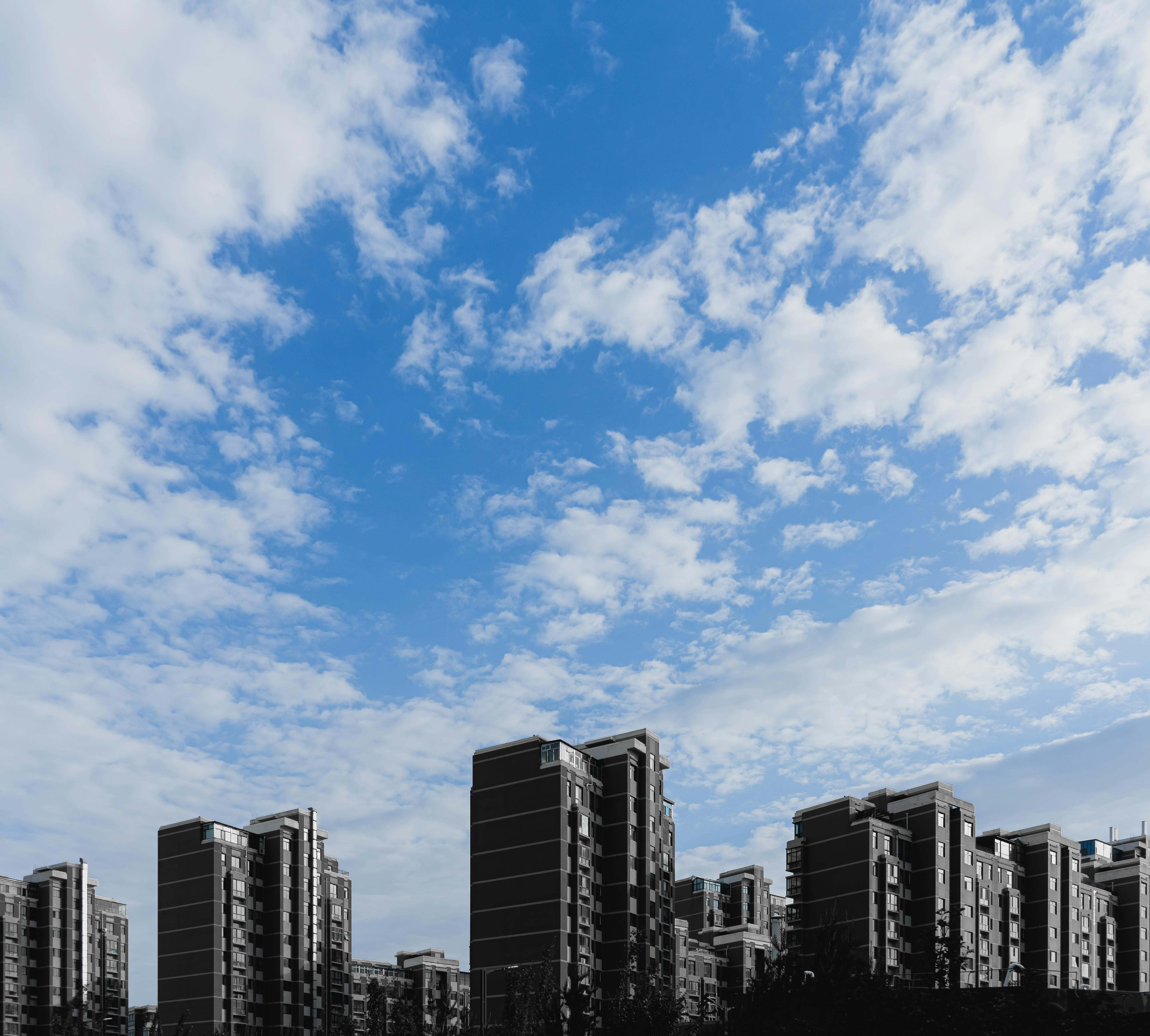 Introducing the AMD Developer Cloud — Photo by yx b on Pexels