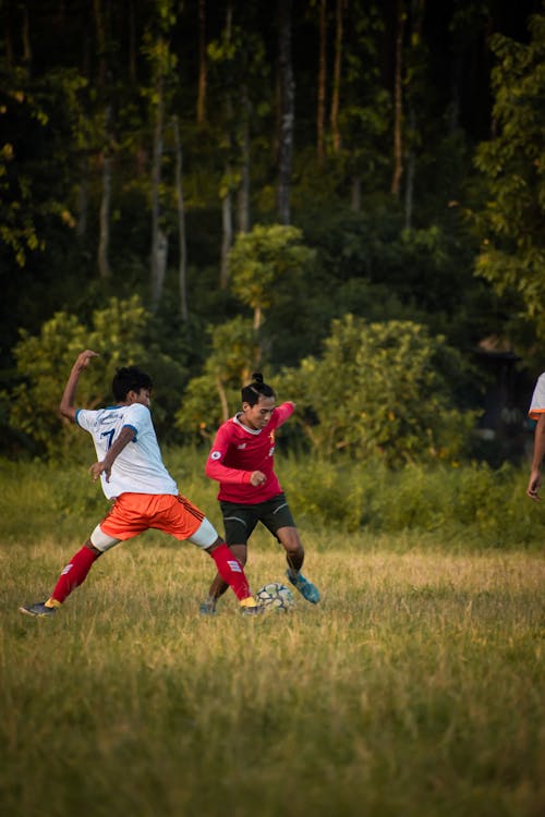 Foto d'estoc gratuïta de atletes, camp, emparellat