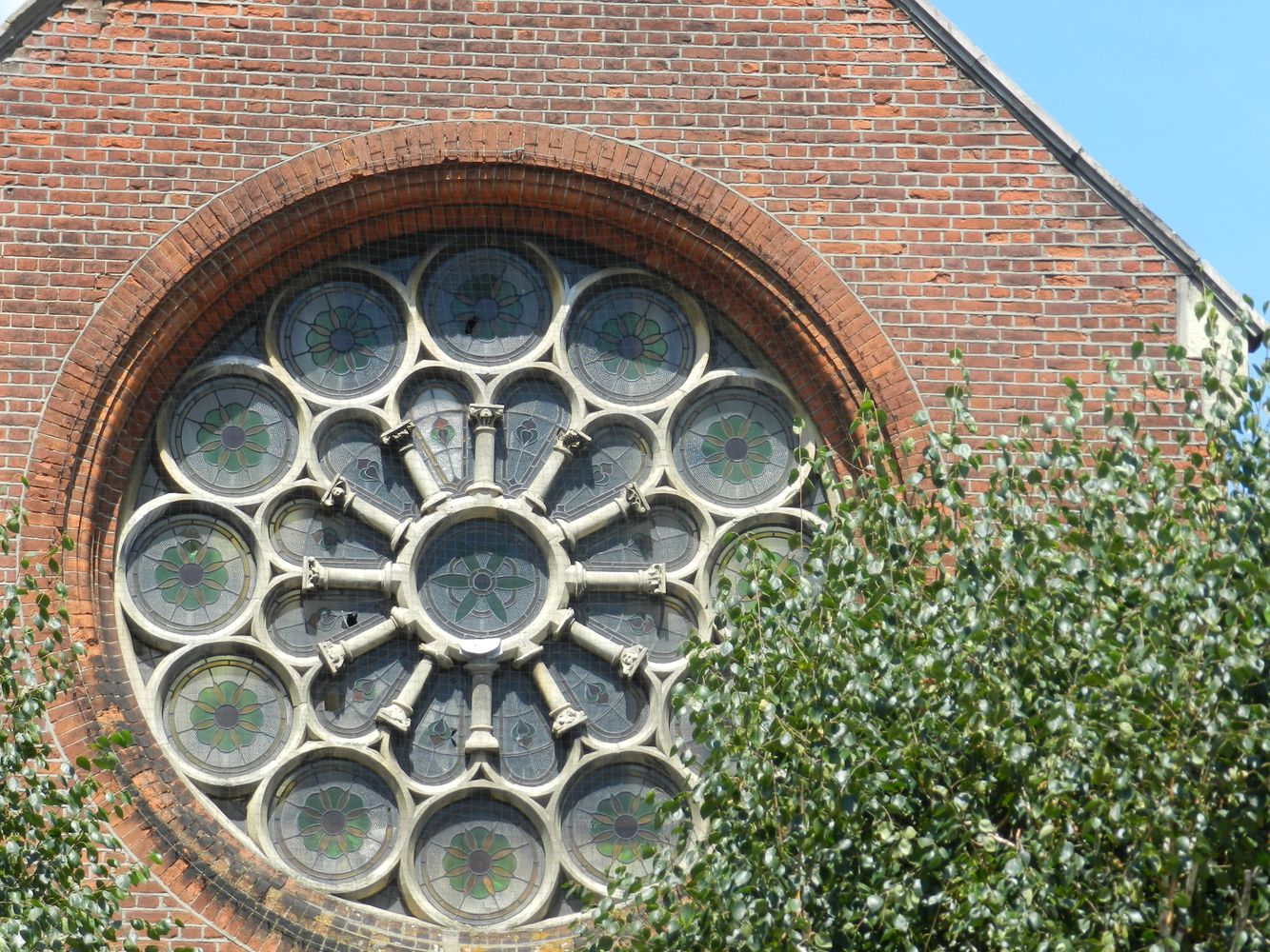 Rose Window Photos, Download The BEST Free Rose Window Stock Photos ...