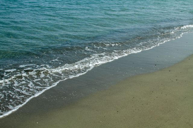 Real Estate Market Virginia Beach
