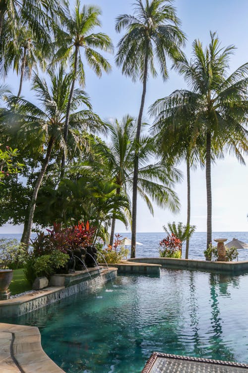 Green Trees near a Pool by the Sea