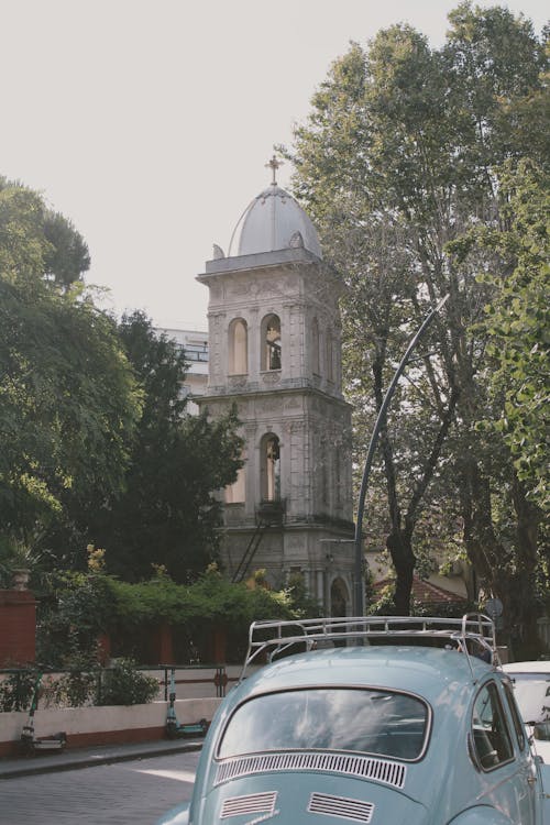 Foto profissional grátis de árvores, besouro, capela