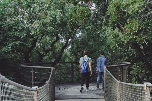 Free Two men walking on a forest walkway, surrounded by lush greenery, enjoying nature. Stock Photo