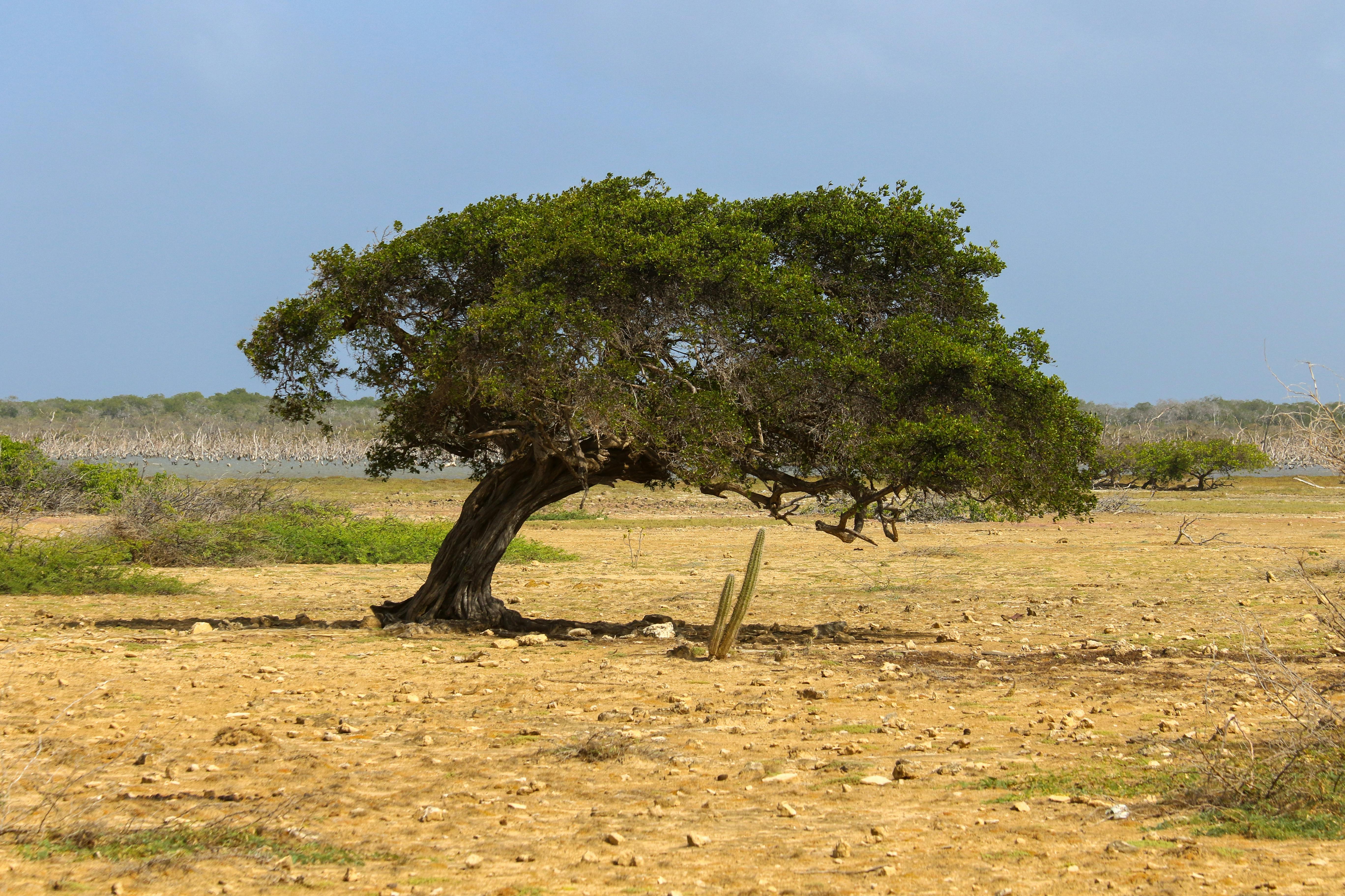 climate resilience sea level rise — Photo by Wolfgang Wendefeuer on Pexels