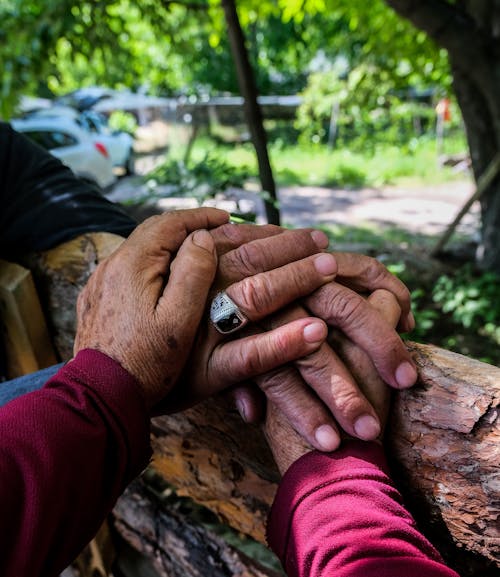 Hands of Persons on a Wooden Log