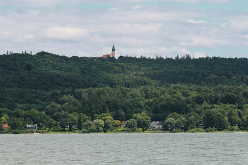 Darmowe zdjęcie z galerii z błękitne niebo, drzewa, dzicz