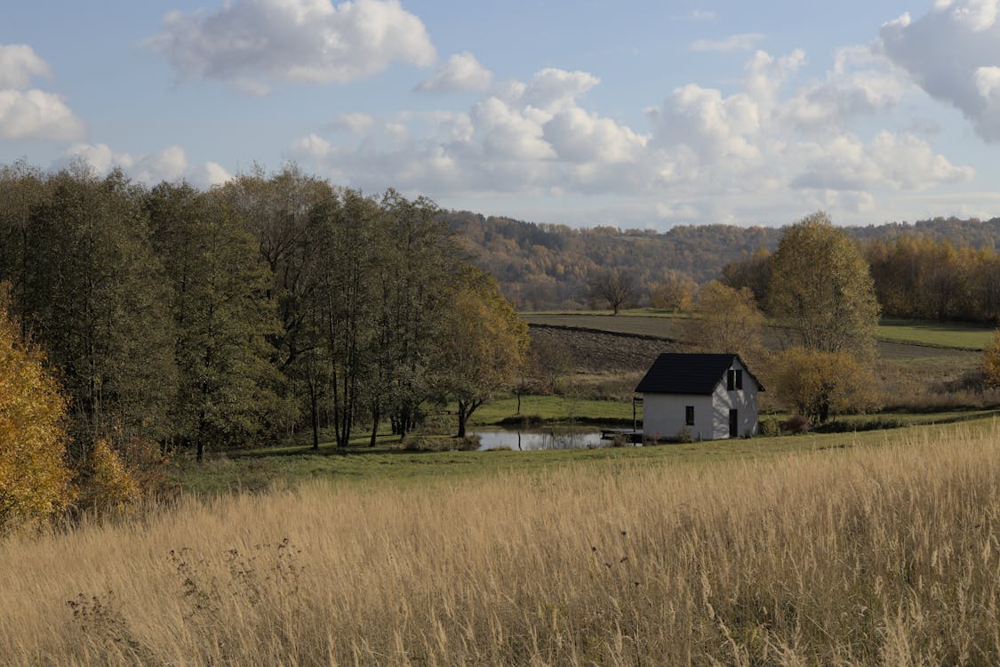 Immagine gratuita di agricoltura, agriturismo, alberi