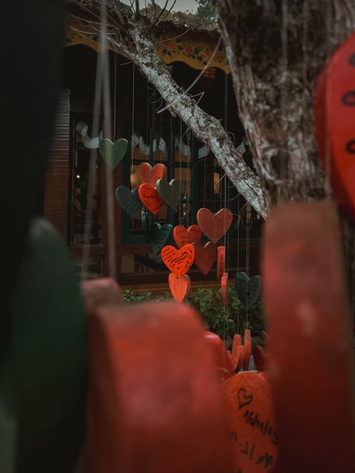 Free Vibrant heart-shaped ornaments hang decoratively from a tree, creating a romantic atmosphere. Stock Photo