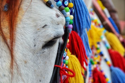 Detailed shot of a horse adorned with colorful beads and tassels at a festive event.