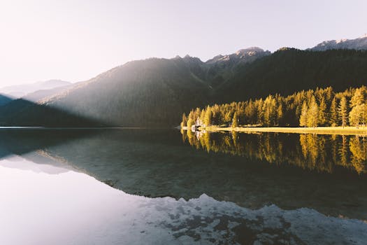 A tranquil view of a mountain and forest reflected in a calm lake at dawn.