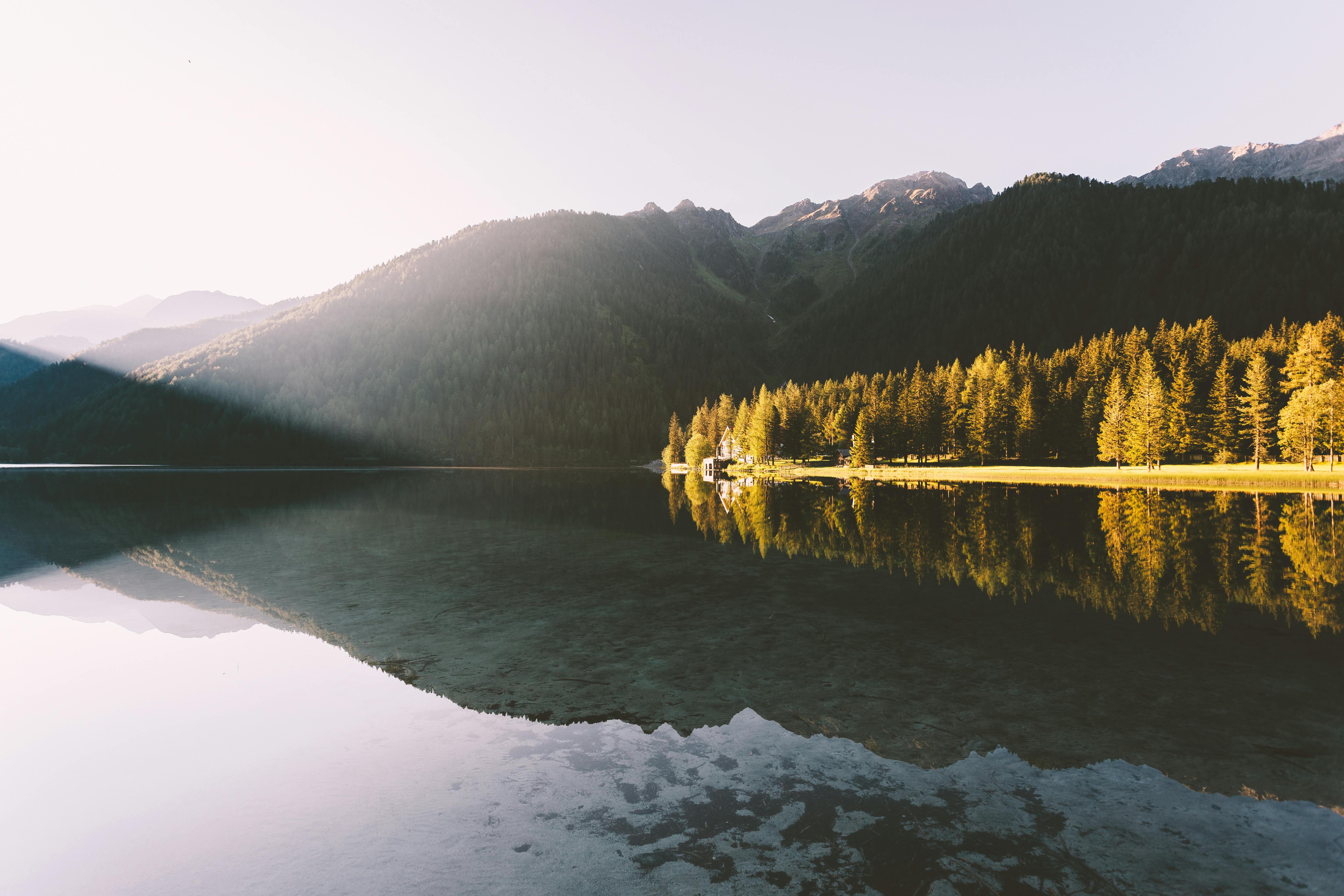 Photo gratuite de arbres, arrière-plans de bureau, bord de lac