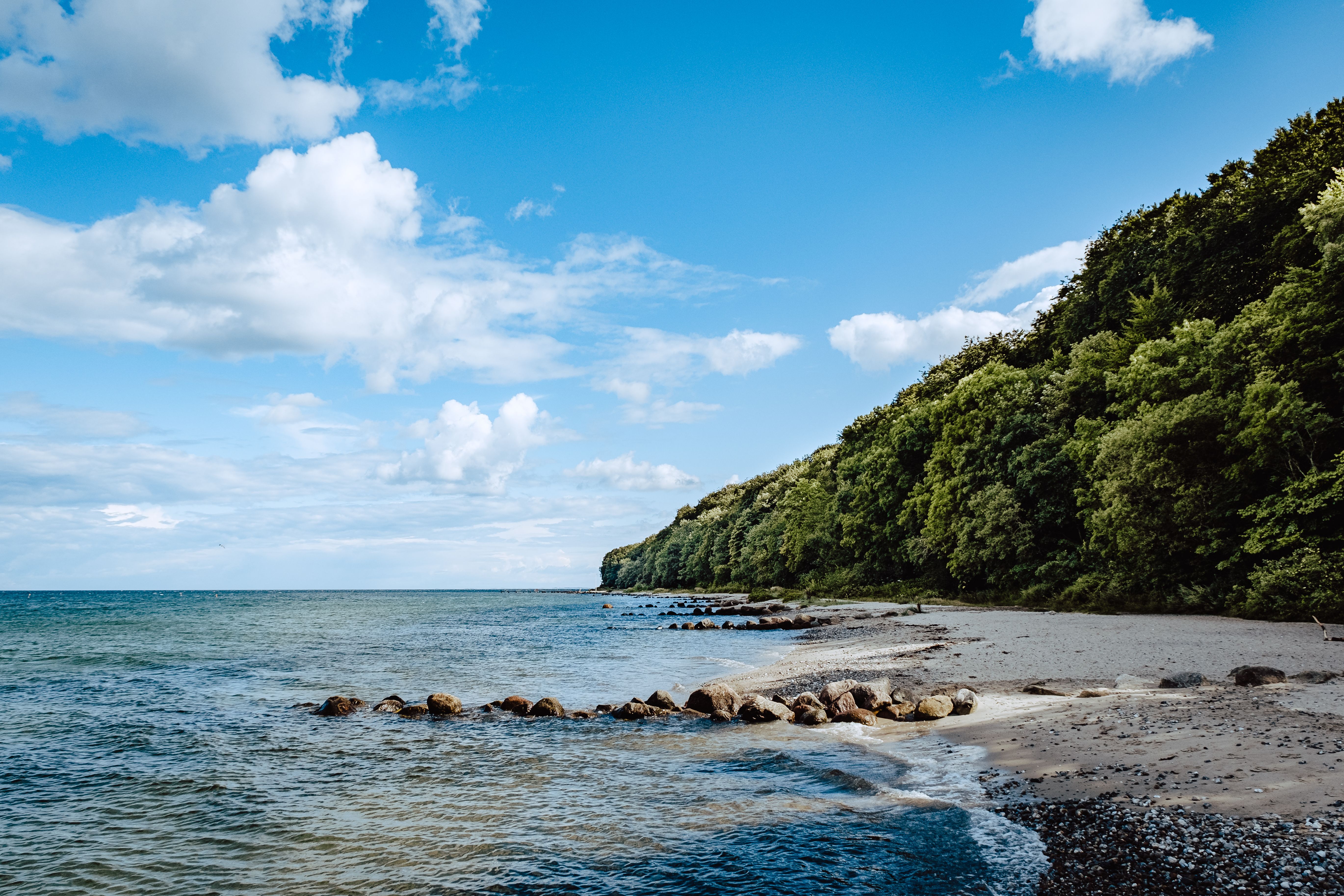Green Trees Near Body of Water under Blue Sky · Free Stock Photo