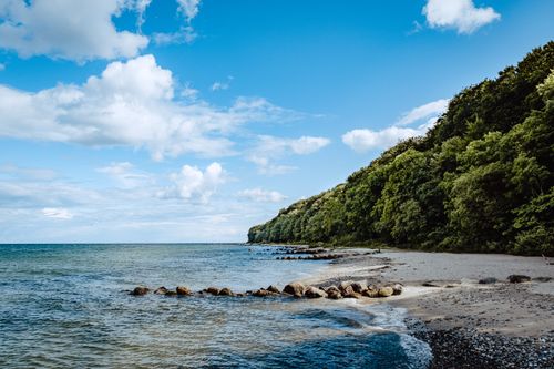 Free A serene beach scene featuring a lush green forest, calm ocean, and vibrant blue sky. Stock Photo