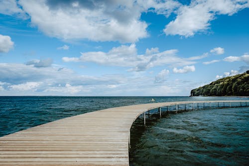 無料 cloudscape, 地平線, 木製の無料の写真素材 写真素材