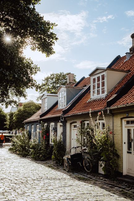 A picturesque European street with quaint houses, cobblestones, and flowering plants.