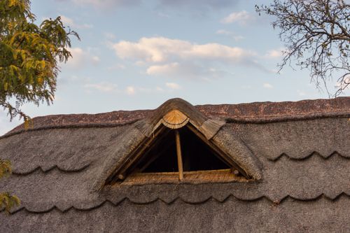 Free Thatched Roof  Stock Photo