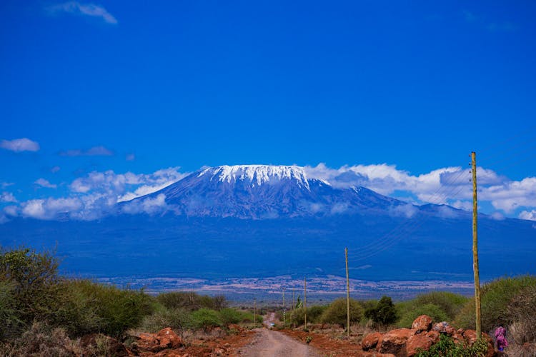 View Of The Kilimanjaro 