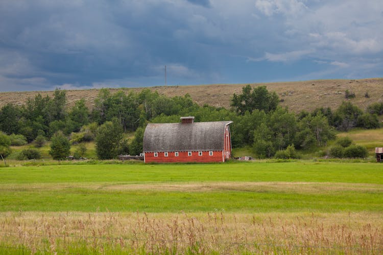 Red And Brown Barn On Green Grass Field Under Blue Sky