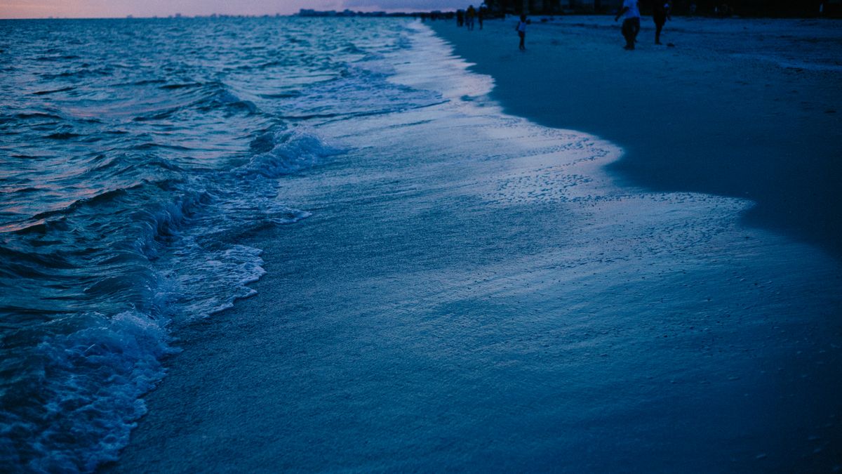 St. Petersburg, FL Freebies Near Me: Where to Find Legit Deals