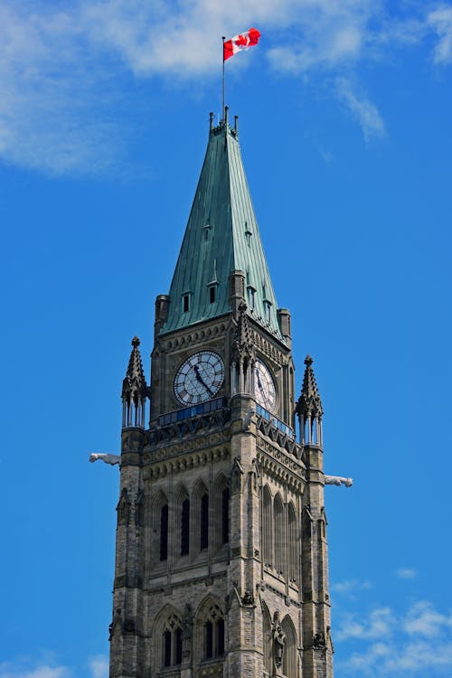 Low-Angle Shot of a Clock Tower under the Blue Sky