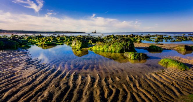 Green Grass on Brown Sand Near Body of Water