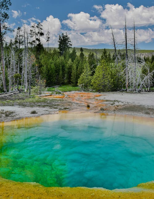 Ücretsiz Yellowstone'da Sabah Zafer Havuzu Stok Fotoğraflar