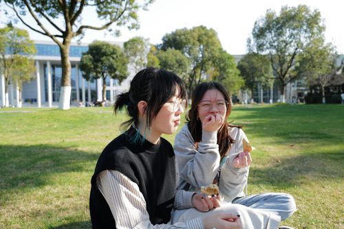 Free Two young women enjoying a picnic on a sunny day in a lush green park. Stock Photo