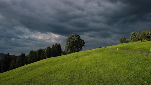 açık hava, doğa, doğa fotoğrafçılığı içeren Ücretsiz stok fotoğraf